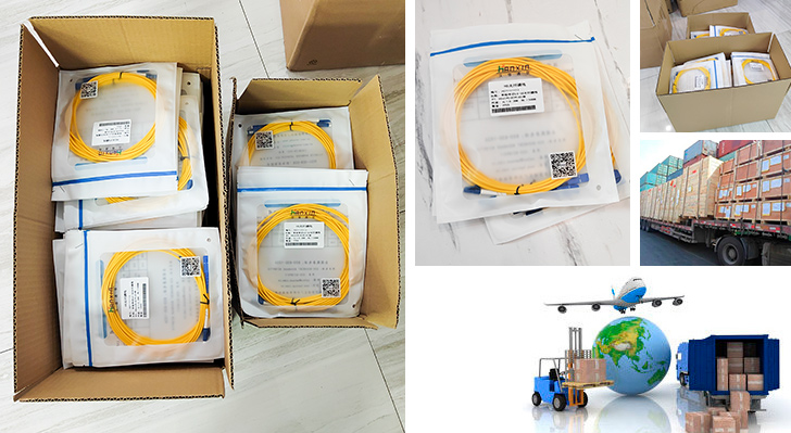 Multimode Single Core SC-SC Fiber Optic Patch Cord - Fiber Optic Patch Cord & Pigtail - 1