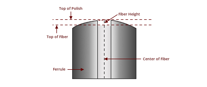 3D Metrology Test: Guarantee of High-Quality Connector Endface - News - 3